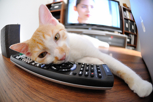 神兵天降！39岁保罗末节20分+压哨绝杀，奇才上演惊天逆转