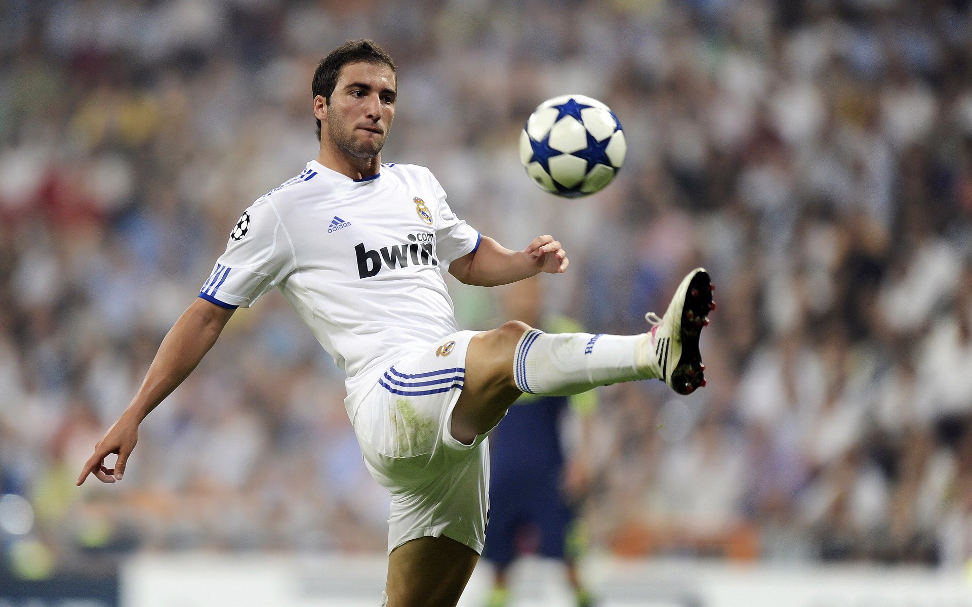 羽翼掠过长城，当东契奇的星空照亮中美篮球的河流