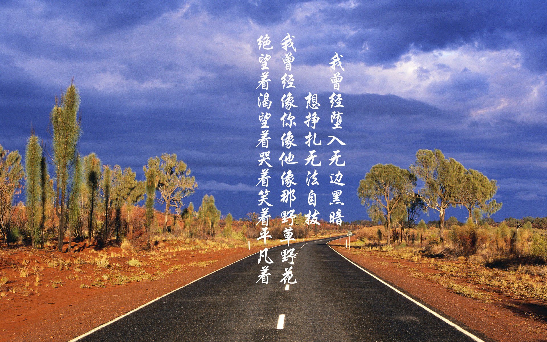 绿茵与硬木的共鸣，塔图姆的英超争冠之夜