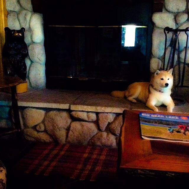 福克斯临危救主，国王加时终结快船，马刺式团队与个人英雄主义的胜利