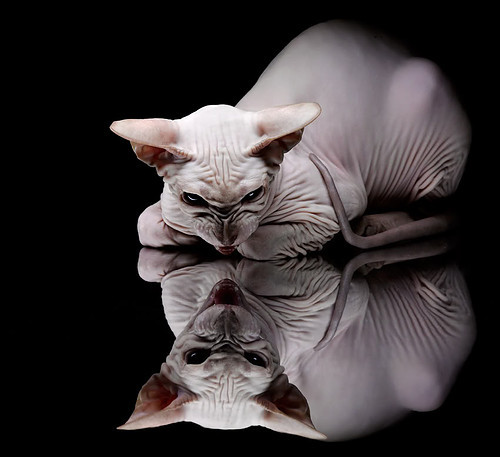 最后一秒的神迹!霍勒迪从地狱到天堂的压哨救赎