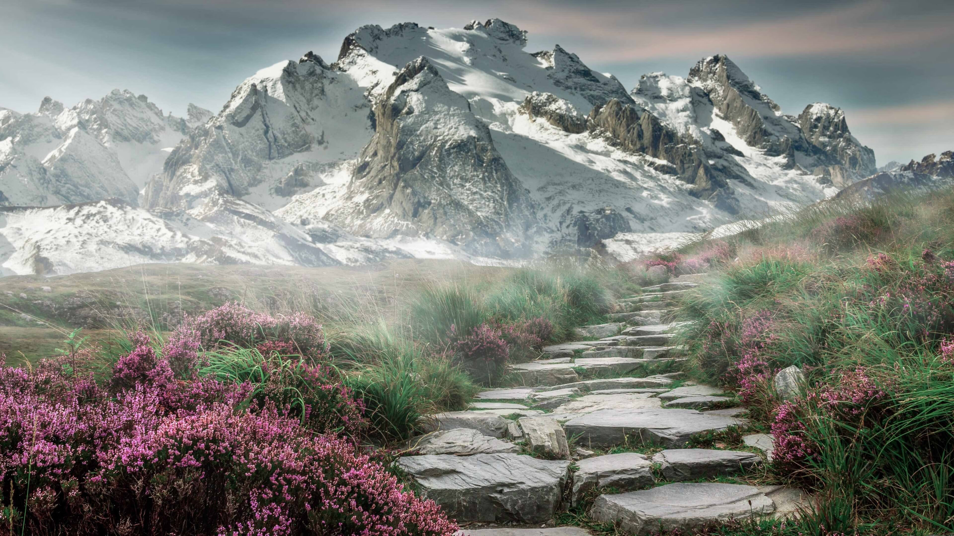 绝境求生,喀麦隆的逆袭如何点燃奥运门票争夺战