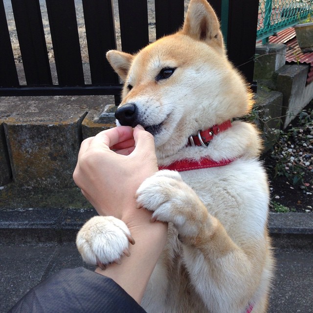 马丁内利，在诺坎普赛道，以221公里/小时接管比赛