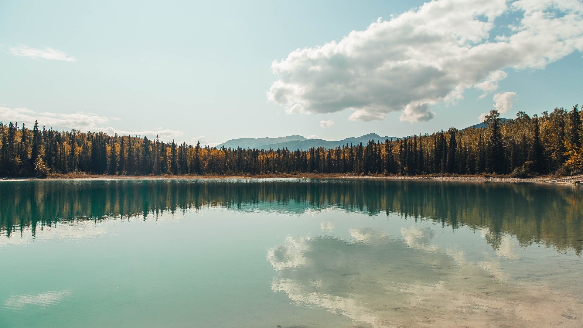 布克狂轰52+10创生涯之夜，爵士团队发力擒获独行侠