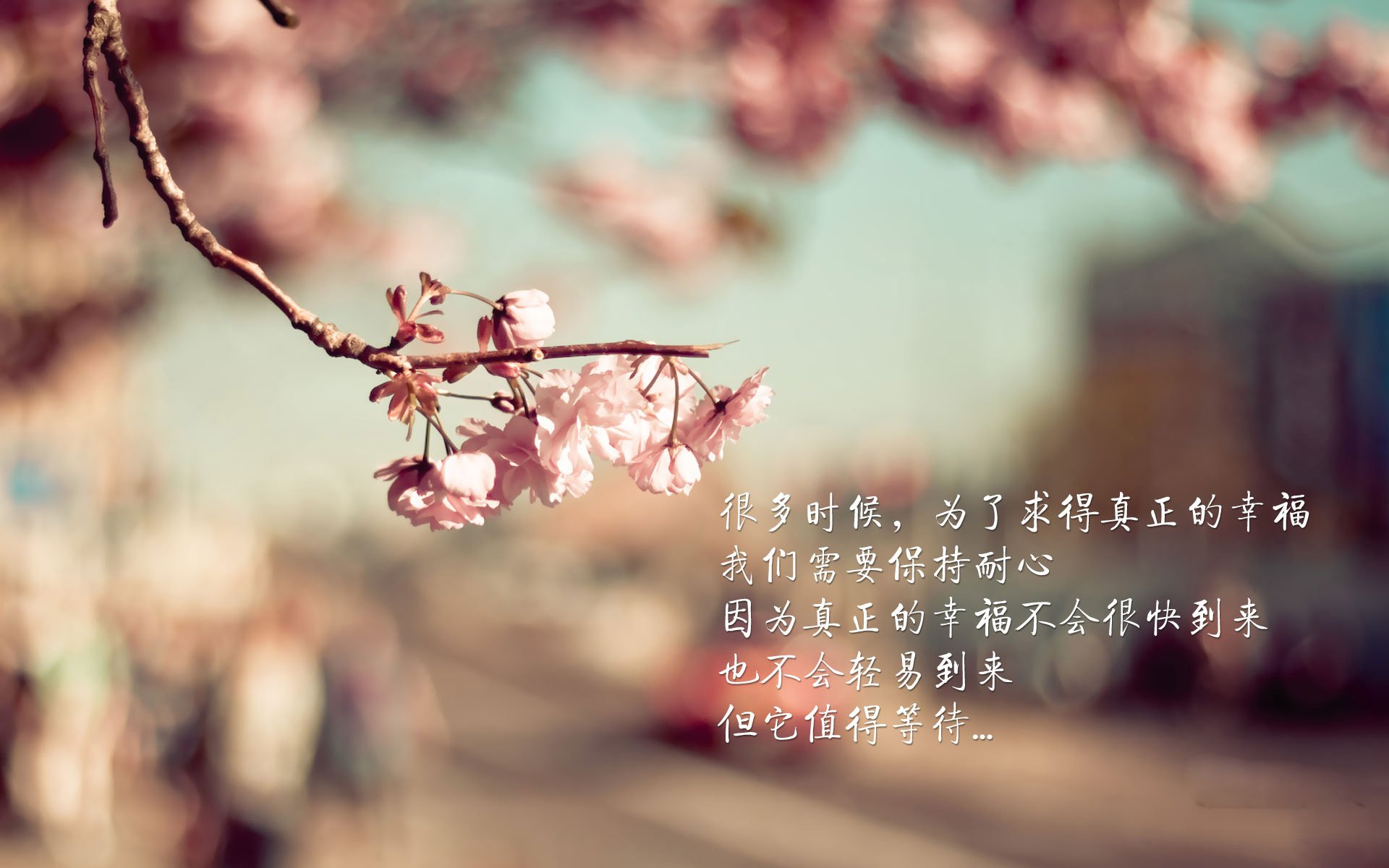 巨星之夜，哈登无争议封王—年度焦点之战深度解析