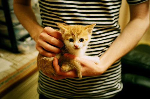 年度焦点之战之夜，孙兴慜的压制级统治表演