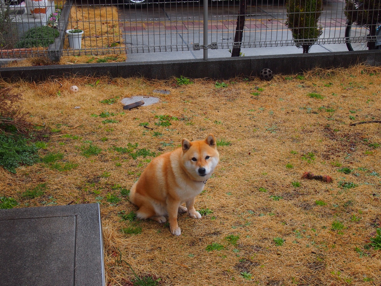 东方铁壁!广厦封锁马刺,贝恩成关键先生撕裂圣城之盾