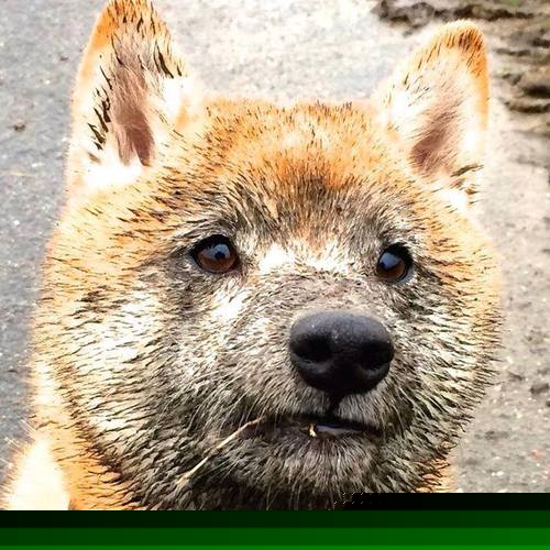 数据与铁壁，足球世界的两副面孔